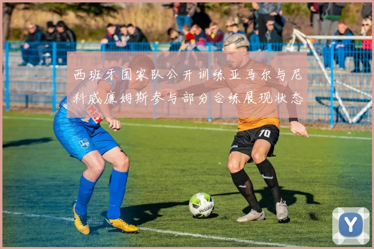 西班牙国家队公开训练亚马尔与尼科威廉姆斯参与部分合练展现状态